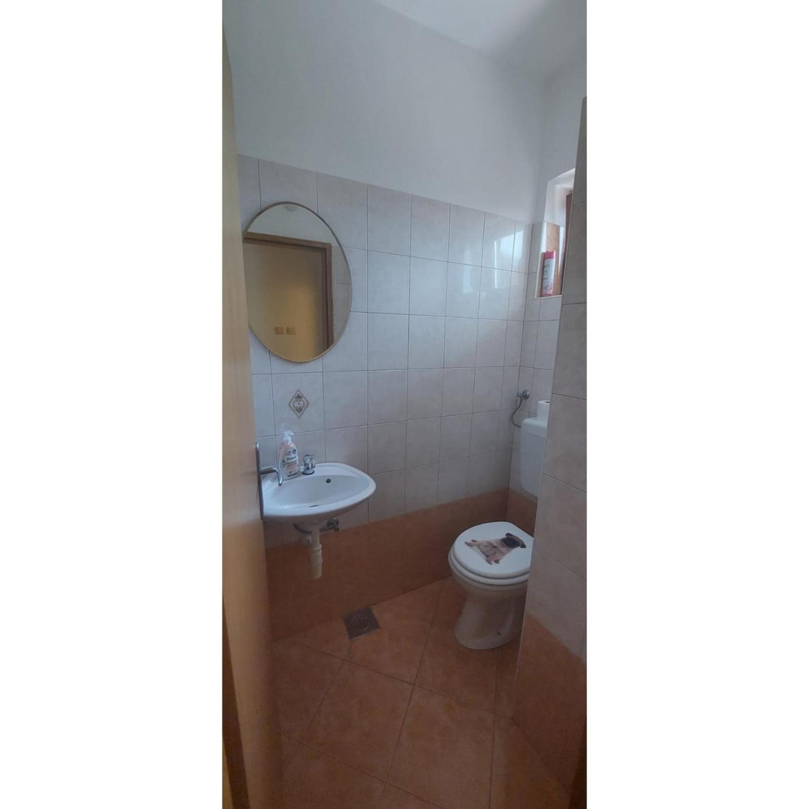 Apartman Dino Roč Zewnętrze zdjęcie
