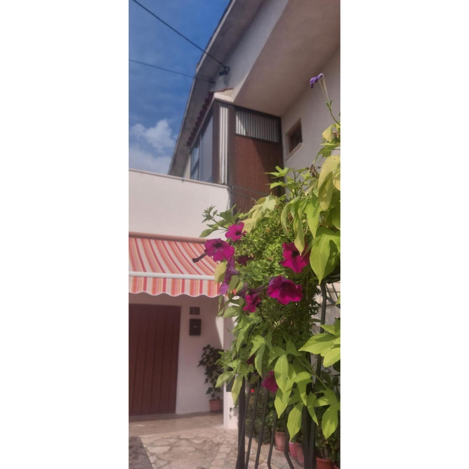 Apartman Dino Roč Zewnętrze zdjęcie